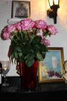 Bild 14